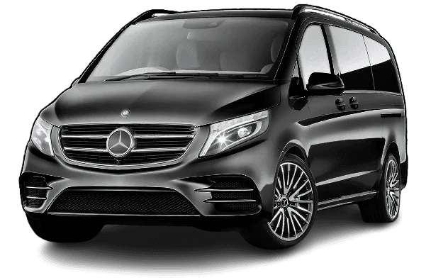 IMG 7421 1 removebg preview.png