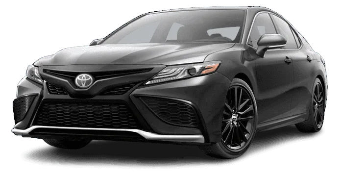 IMG 7423 1 removebg preview.png